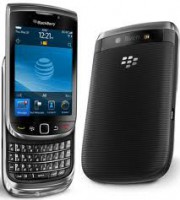Blackberry Torch